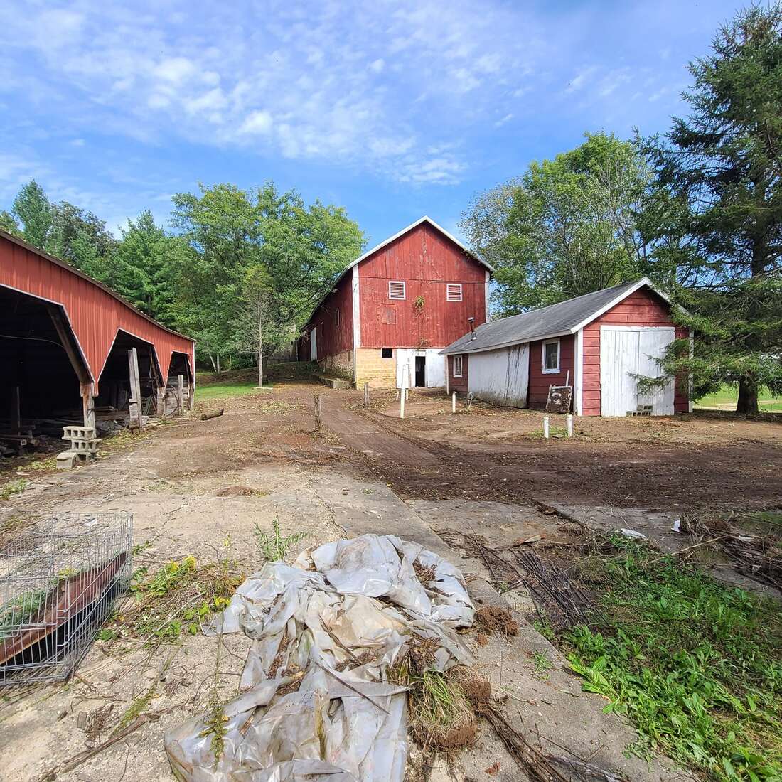 Farmyard between red barns after overgrowth and debris were cleared