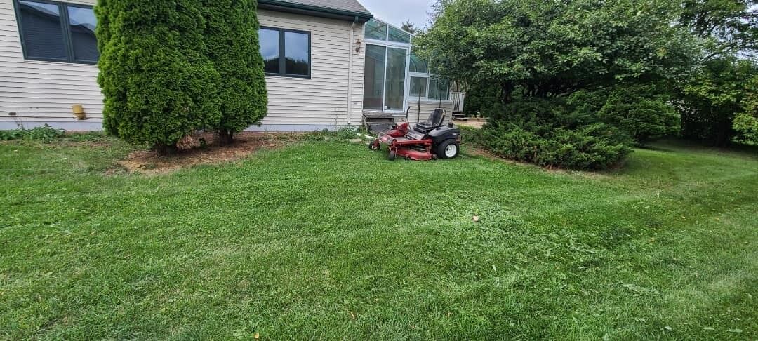 Zero-turn mower on a lawn beside arborvitae and a sunroom